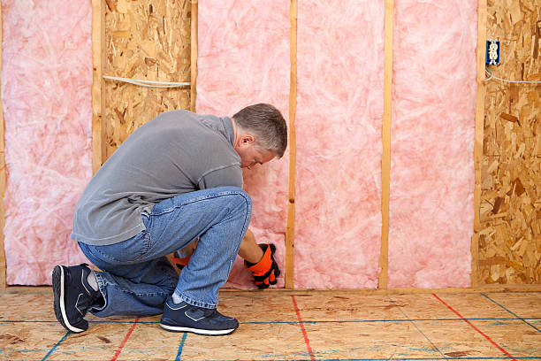 Best Eco-Friendly Insulation in Jersey City, NJ